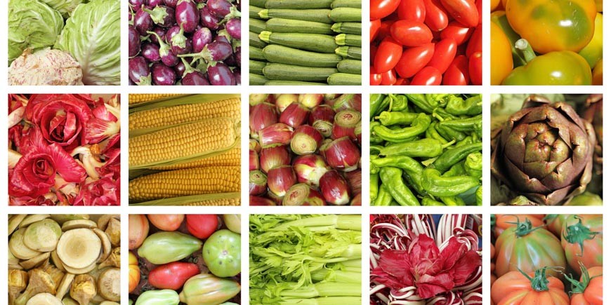 Proteinquellen für Vegetarier
