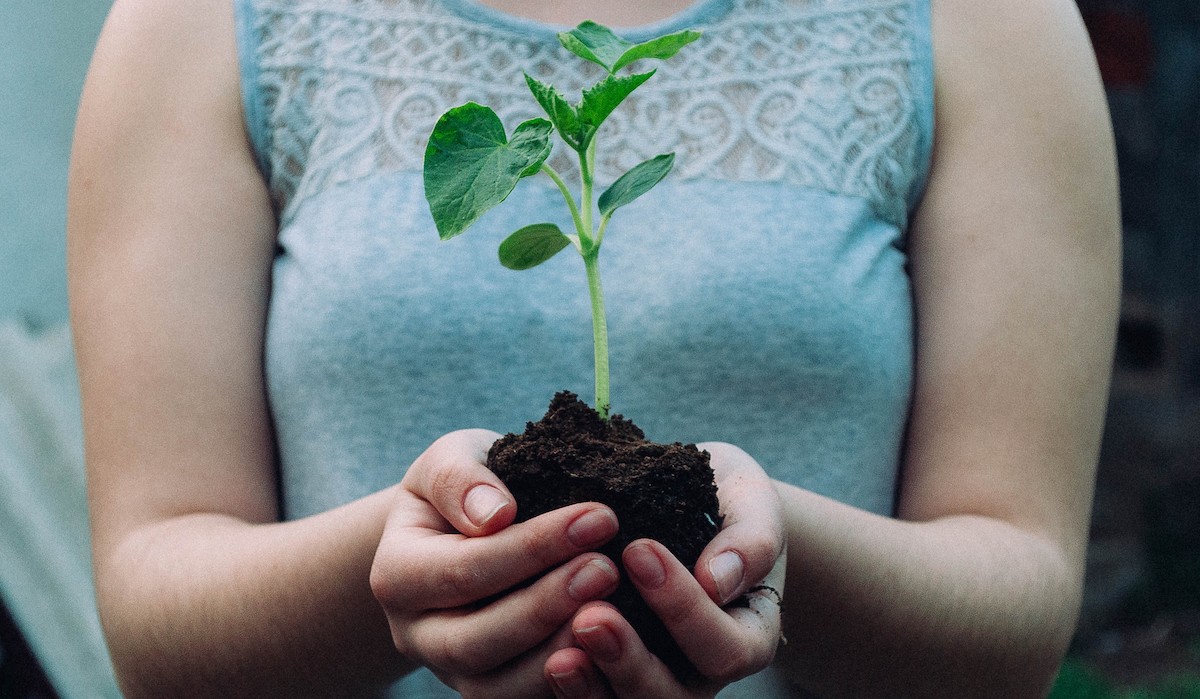 Green is the new black! - 5 Tipps für mehr Nachhaltigkeit in deinem Alltag